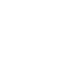 Icon Big N-10